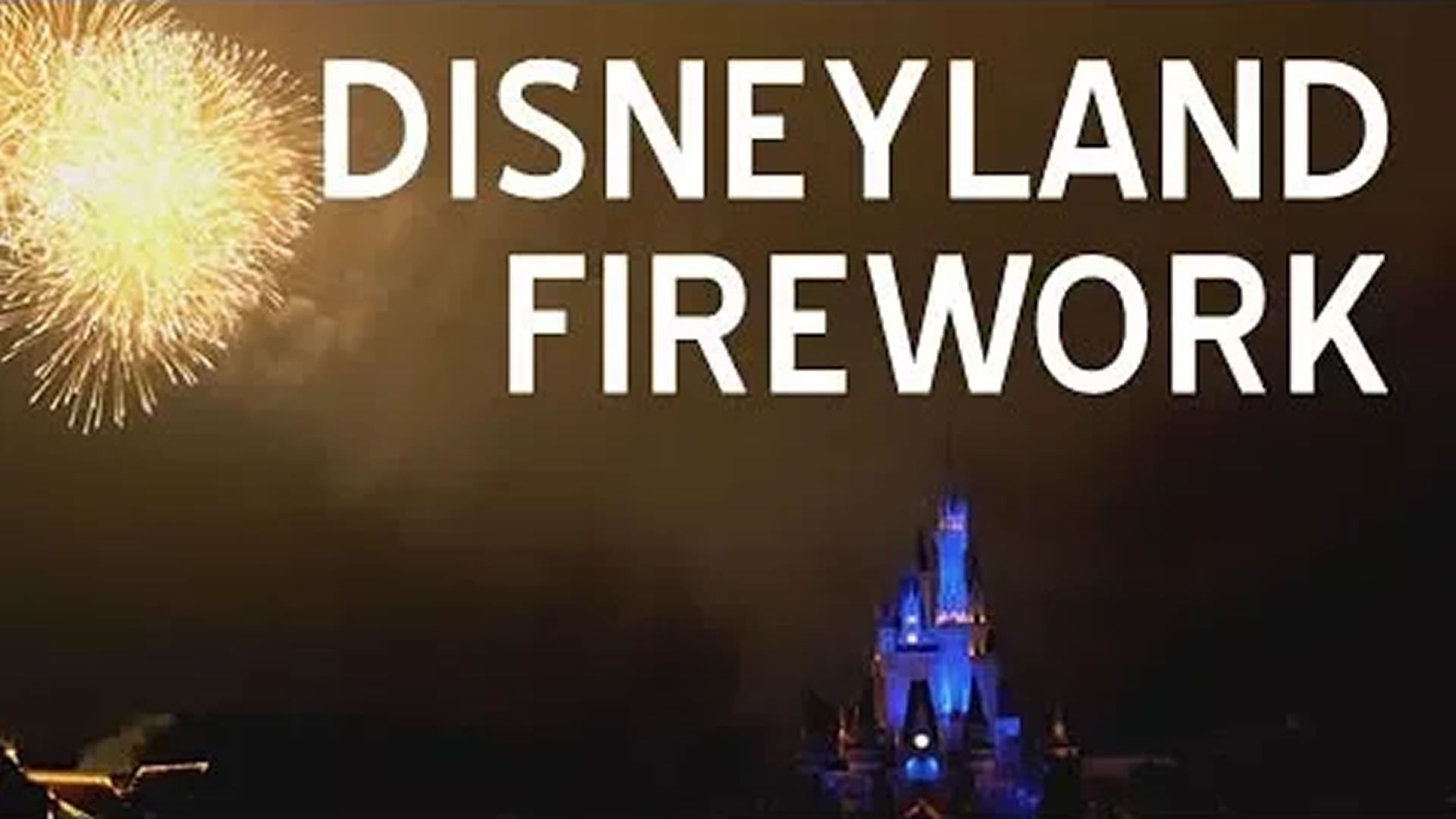 Disneyland Firework
